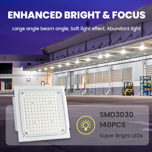 High Brightness IP65 Waterproof Aluminum 100w 150w 200w 250w Led Explosion Proof Light For Fuel Petrol Gas Station Canopy Lamps