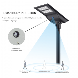 Intelligent Highway Garden Road Lighting IP65 50w 100w 150w 200w 250w 300w 400w Motion Sensor All In One Led Solar Street Light