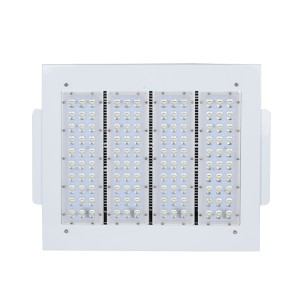 China Factory 50W 100W 120W 150W 200W 220W Explosion Proof LED Light explosion proof led flood light