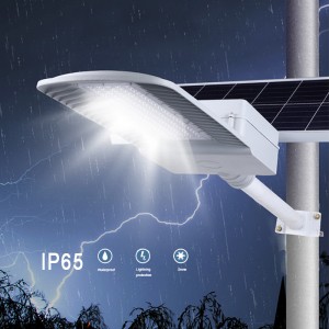 factory low price China CE/RoHS/ISO 30W Solar Outdoor LED Street Bucket Lighting/Lamp/Light