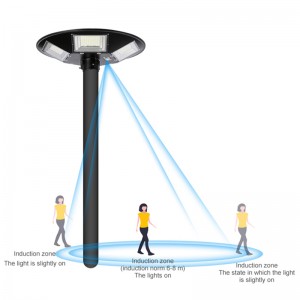 LED solar garden Lights with Motion Sensor